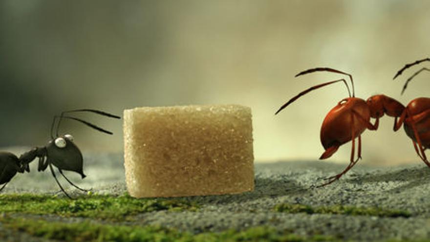 Minúscul: la vall de les formigues perdudes