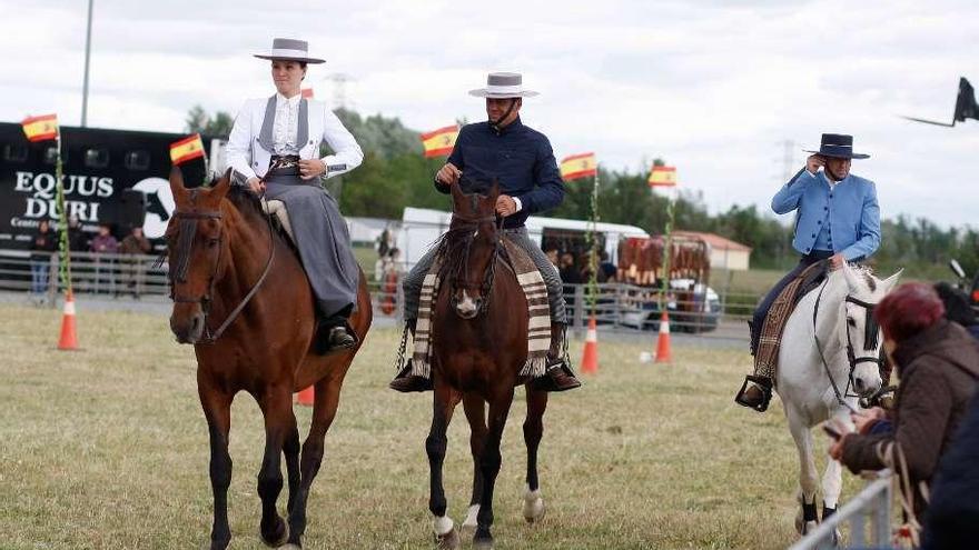 Exhibición de manejo equino.