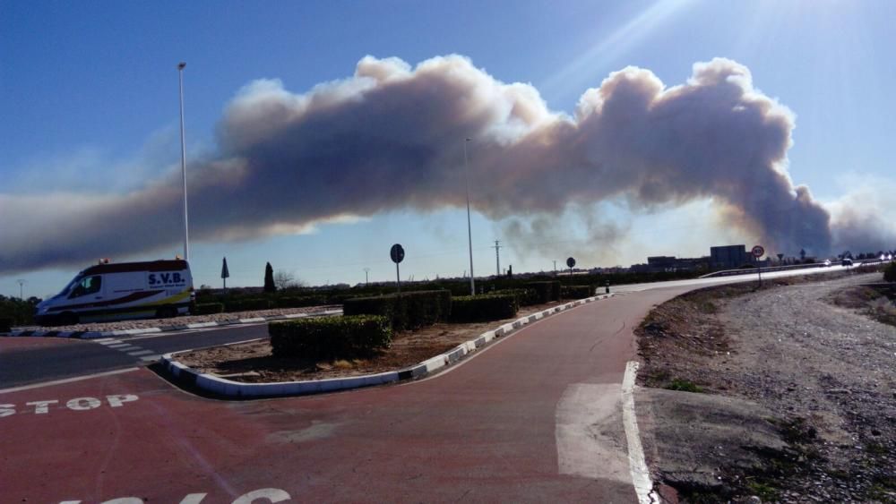 Incendio forestal en el Marjal dels Moros en Sagunt