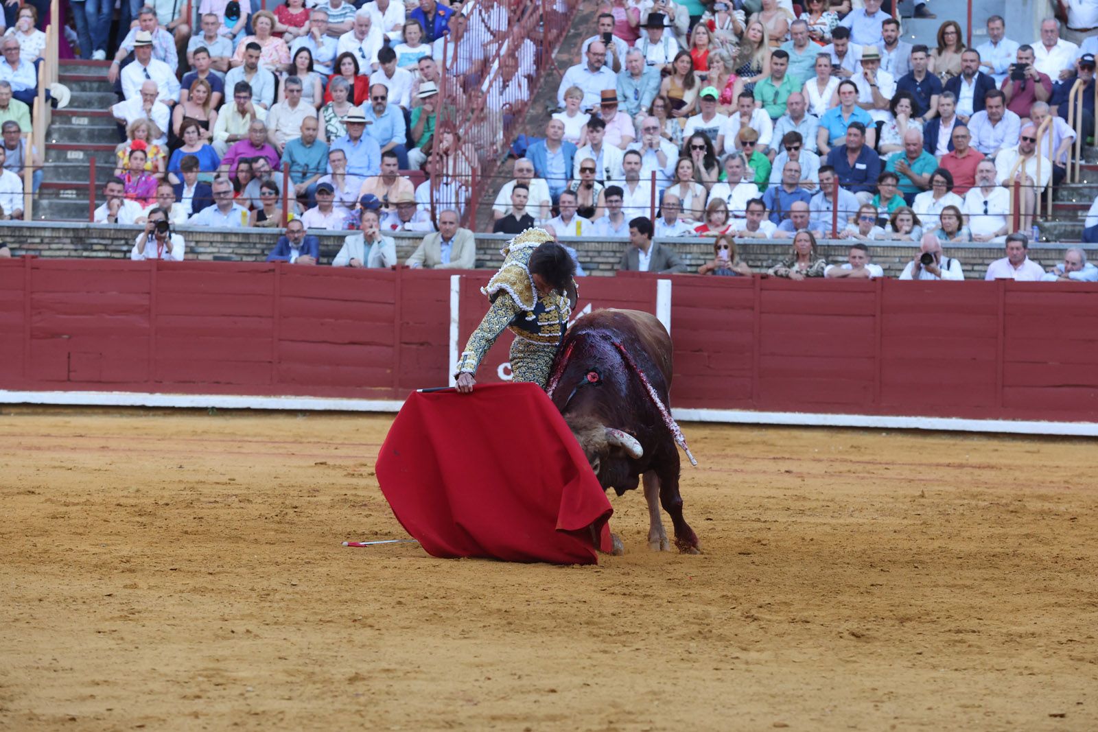Román toma la alternativa y la puerta grande se abre para Roca Rey y Ortega