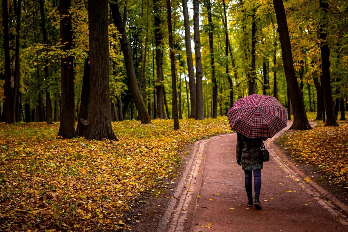 La medicina avala los ‘baños de bosque’ para reducir la ansiedad que provoca la pandemia