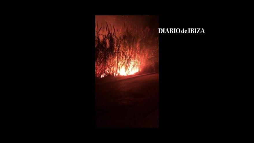 Grandes llamas en un incendio de cañas en Ibiza