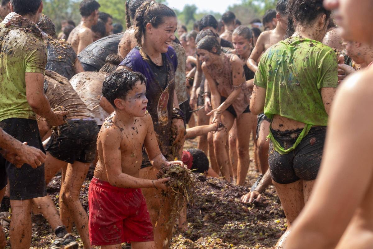 Sa Vermada de Binissalem arranca con su multitudinaria ‘guerra de raïm’ y la ‘Festa dels Trepitjadors’
