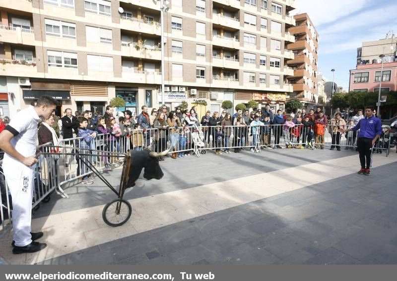 GALERÍA DE FOTOS -- Demostración de recortadores en Almassora