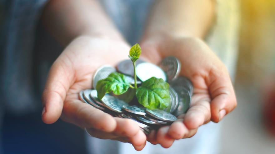 La planta de interior que atrae la buena suerte y que queda genial en cualquier rincón