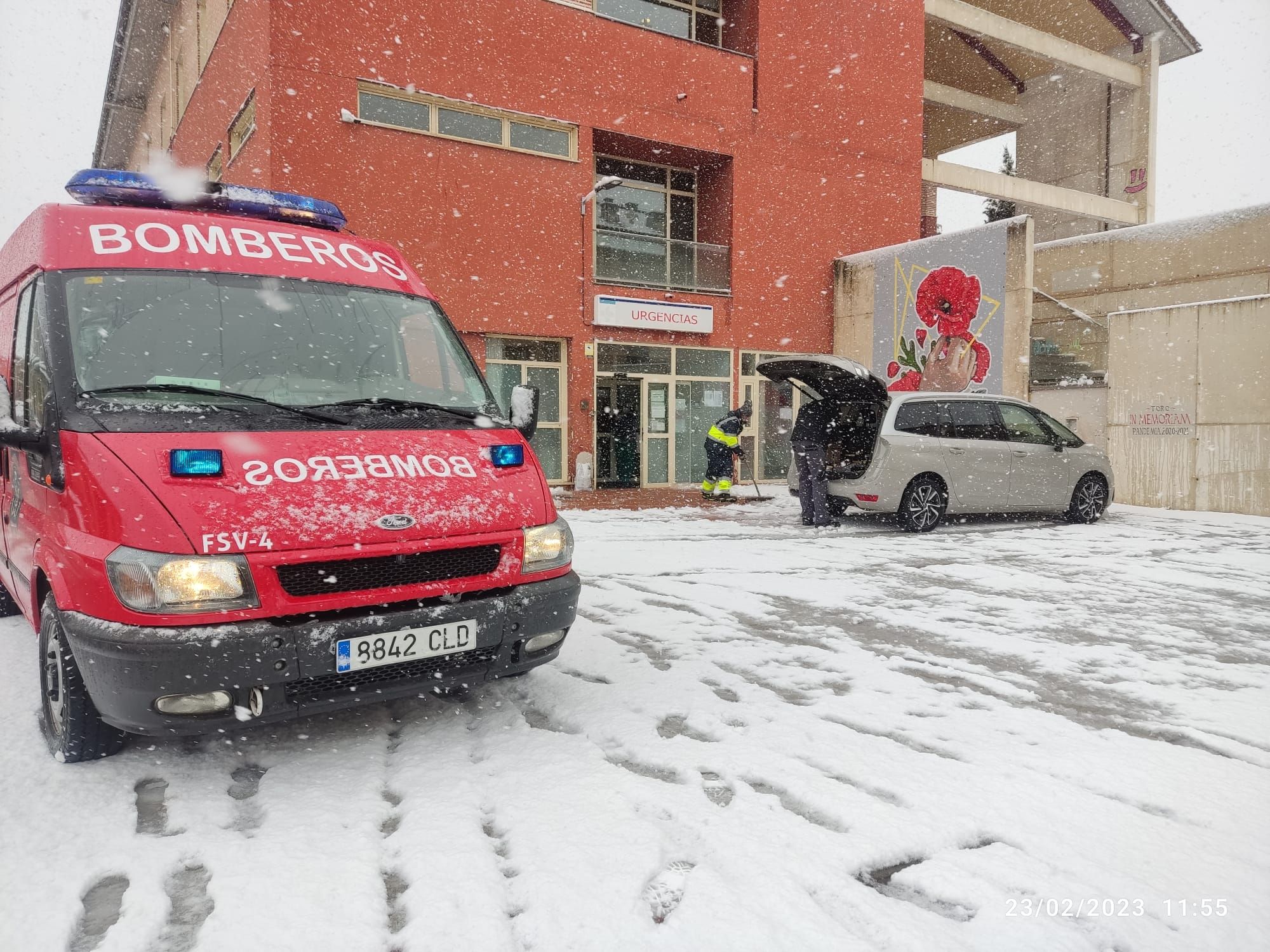 GALERIA | Así ha vivido Toro la nevada de hoy