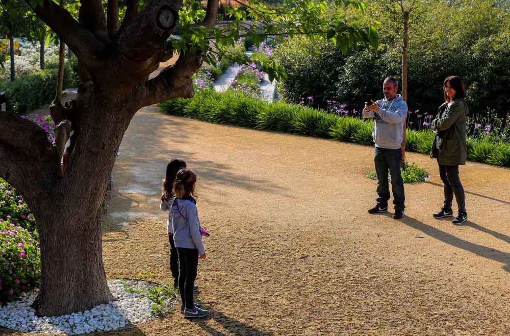 Los niños vuelven a llenar parques y calles