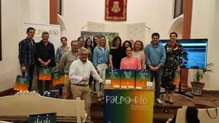 Palma del Río estrena las webs municipales de Turismo y Participación Ciudadana