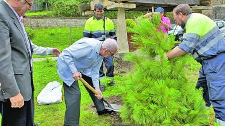 José Ramón González, «Monxu», ayer, plantando su árbol en Ciaño.