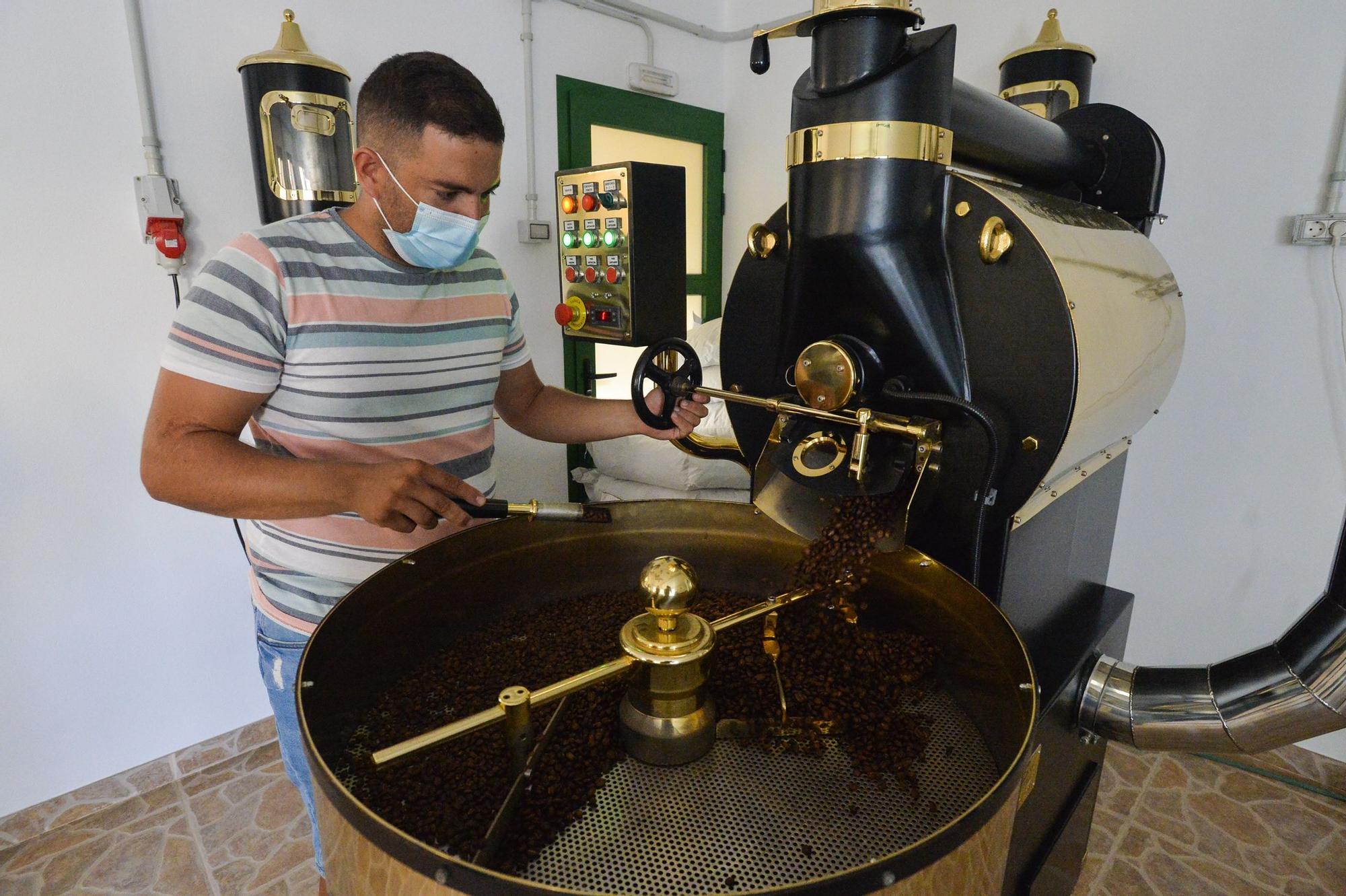 Plantación de café de la finca El Calvario, en Guía