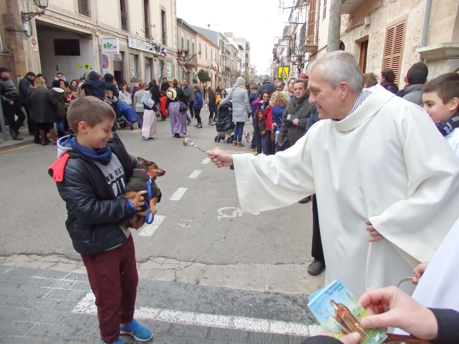 'Beneïdes' de Sant Antoni