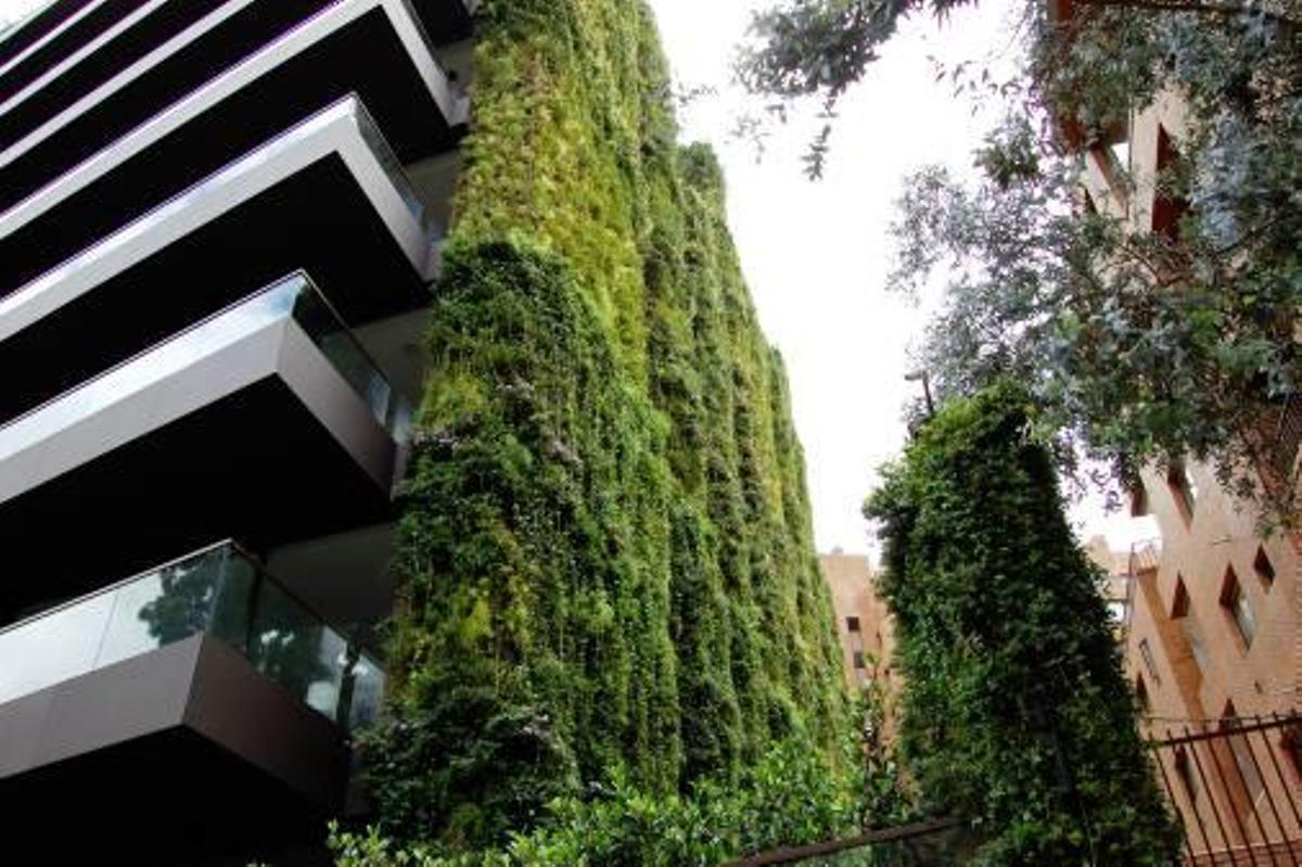 Nacho Solano crea un jardín vertical de 115.000 plantas y 3.000 metros  cuadrados
