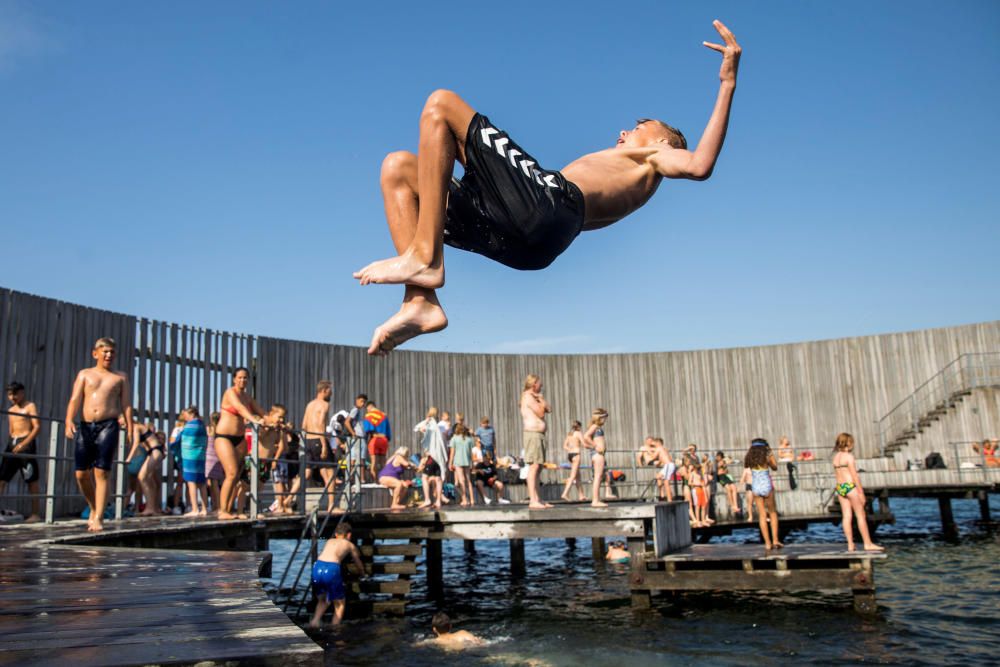 Boys jump in the water at the Snail on Amager in ...