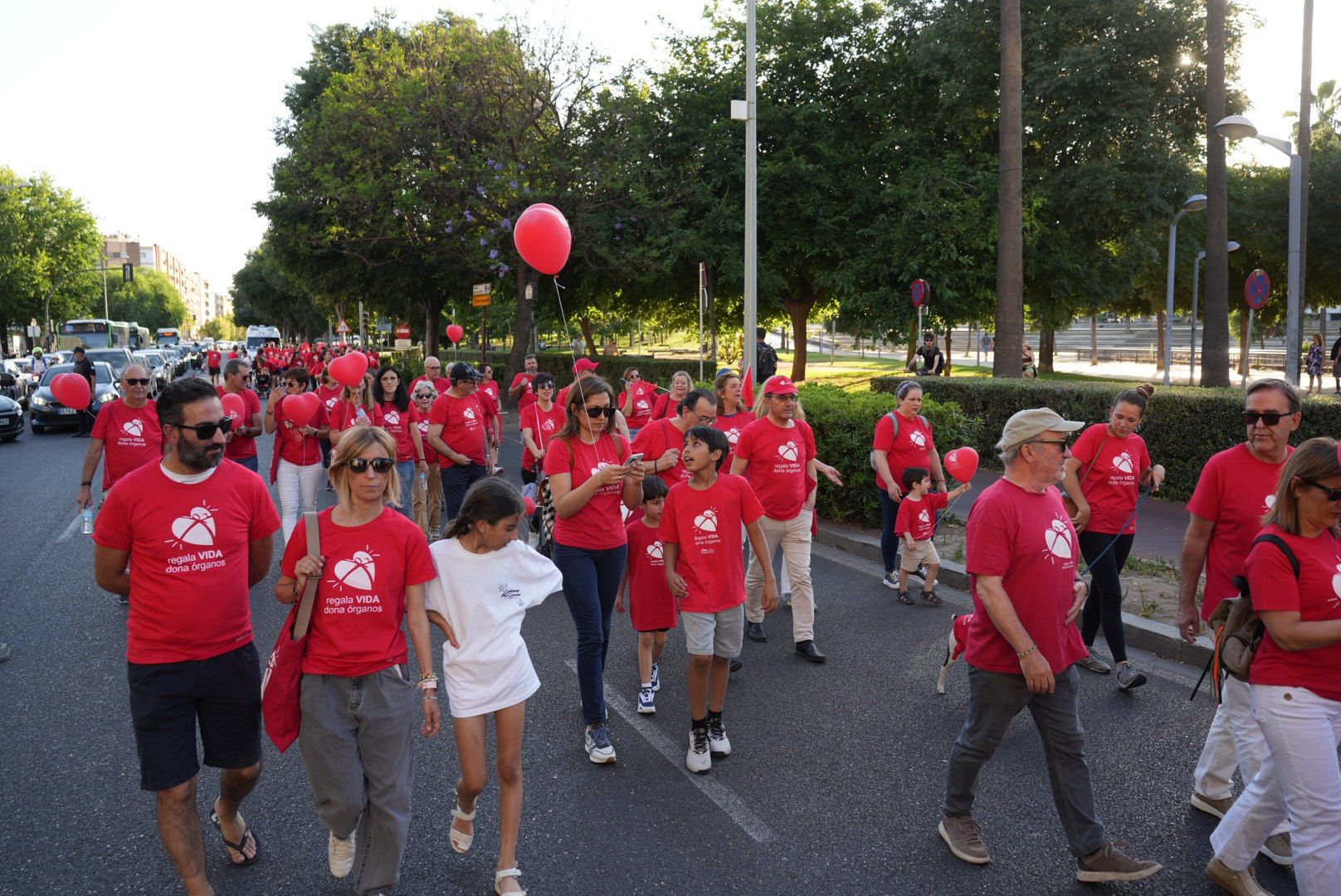 La marcha por la donación de órganos, en imágenes