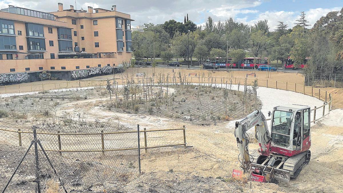 Aspecto actual del mini bosque instalado junto al parque de La Paz, que comenzó a plantarse en febrero de este mismo año.