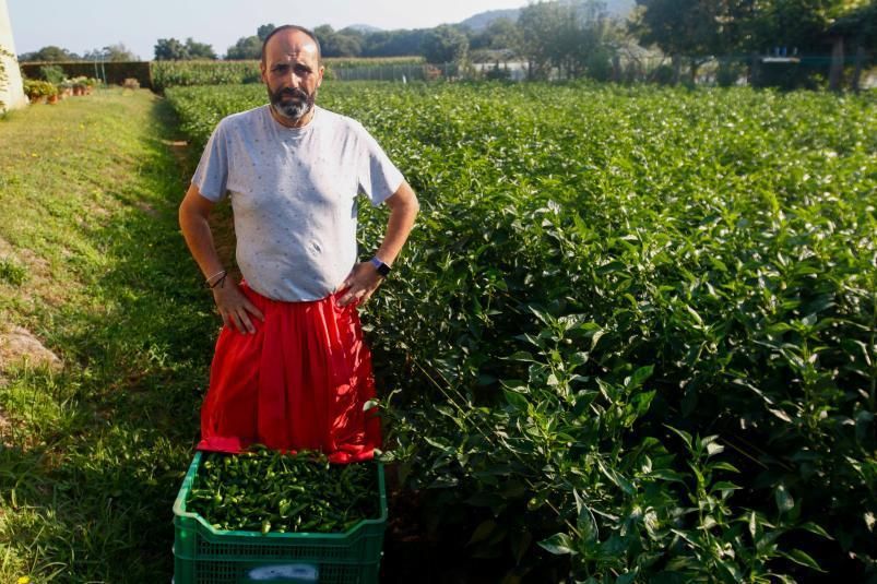 José Manuel Ferro con sus cultivos en Padrón. | // IÑAKI ABELLA