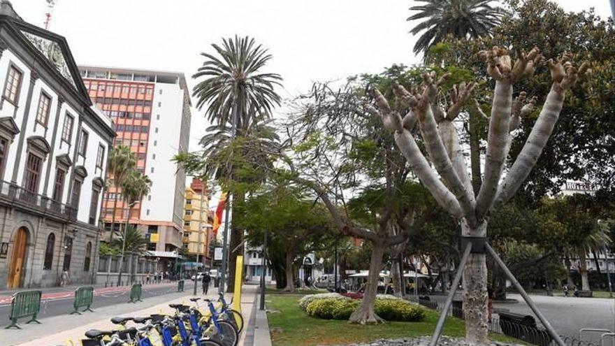 Un joven herido de carácter grave tras sufrir un traumatismo craneal en San Telmo.