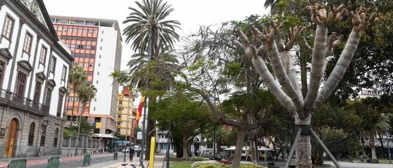 Un joven herido de carácter grave tras sufrir un traumatismo craneal en San Telmo