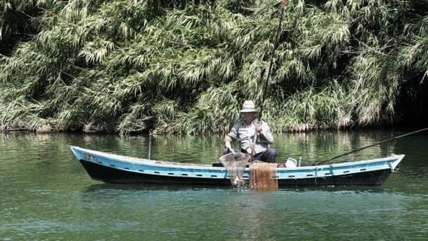 Un pescador en el Azud de la Marquesa, donde la semana pasada bajaba buen caudal de agua, en una imagen de archivo.