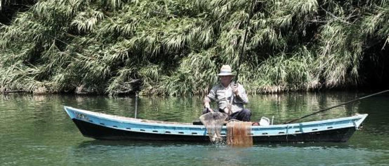 Un pescador en el Azud de la Marquesa, donde la semana pasada bajaba buen caudal de agua, en una imagen de archivo.