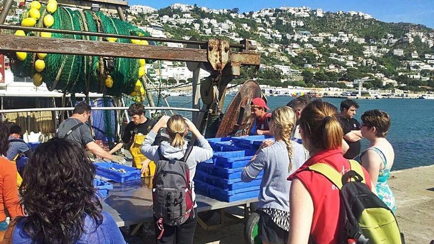 Roses farà visites guiades al port de pesca i a la subhasta de peix