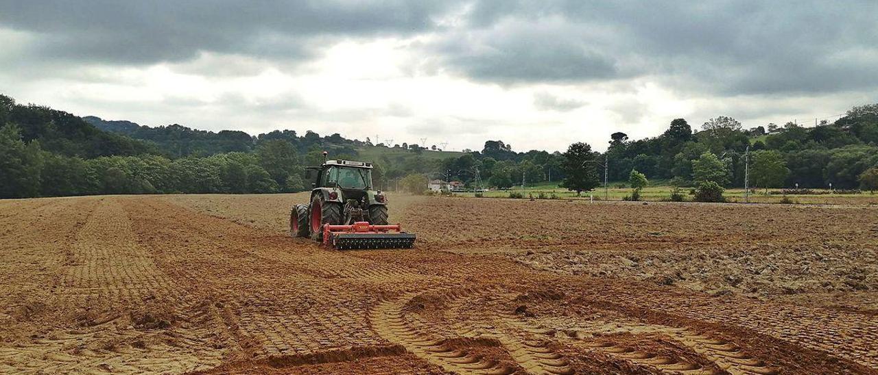 Un tractor trabaja la tierra del Soferán de Sevares.