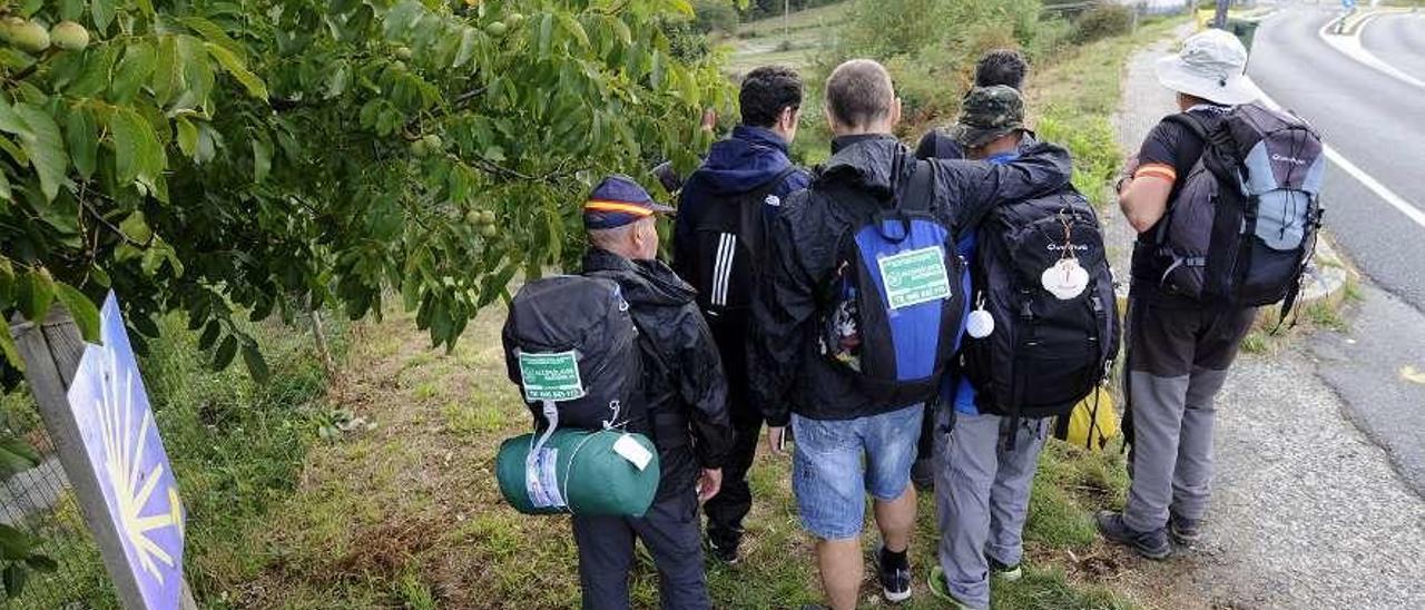 Los peregrinos de Alcohólicos Anónimos, ayer, a su paso por Botos. // Bernabé/Javier Lalín