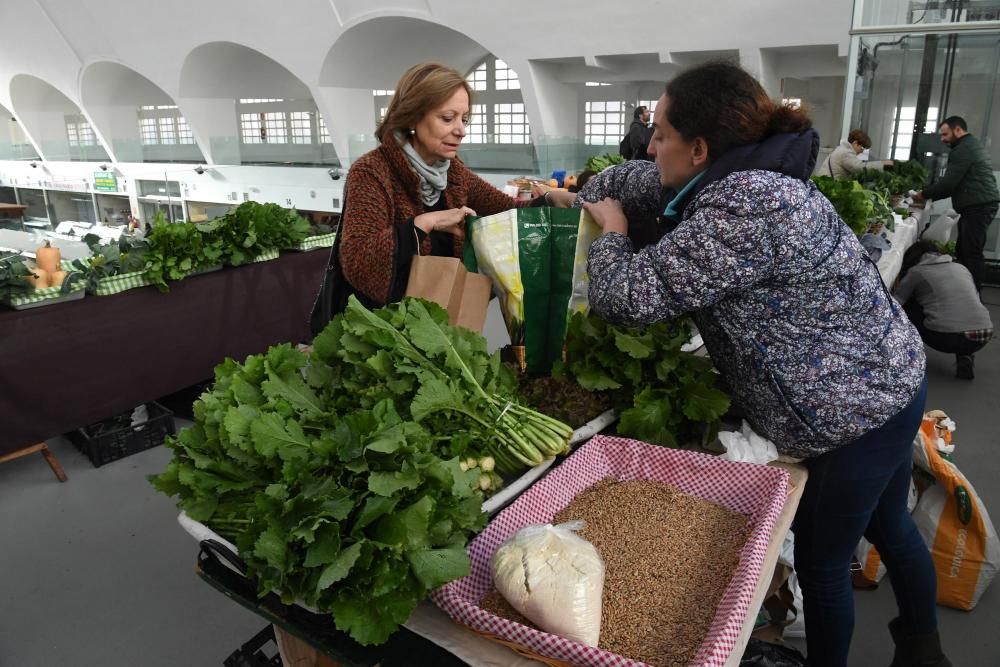 Presentación del Foro Galego de Agroecoloxía