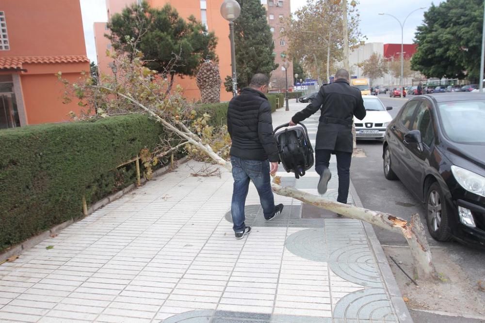 La borrasca Ana, a su paso por Cartagena