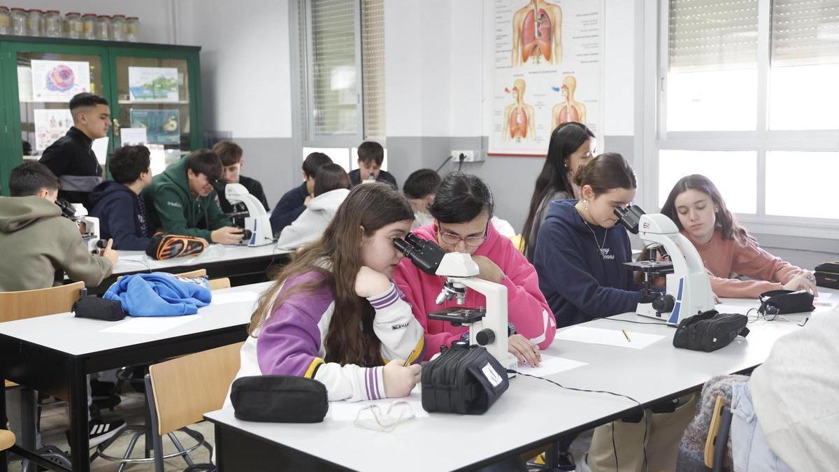 Alumnos de Educación Secundaria en un taller de ciencia.