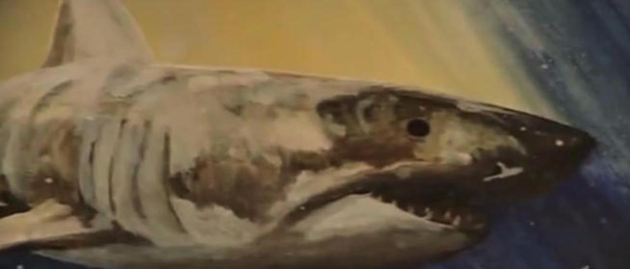 Una muestra de la pintura de Frias Reis, defensor de los tiburones y el medio marino.