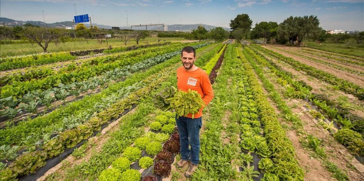 esala38367971 molins de rei lluis fisas   agricultor ecol gic  foto de nur170514180145