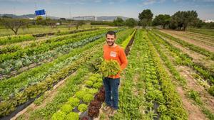 esala38367971 molins de rei lluis fisas   agricultor ecol gic  foto de nur170514180145