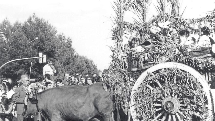 El blanco del azahar