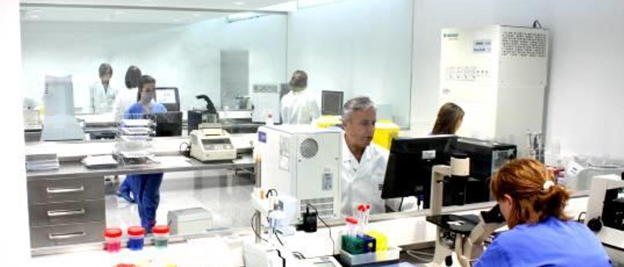 Laboratorio de genética y biotecnología del Instituto Bernabeu.