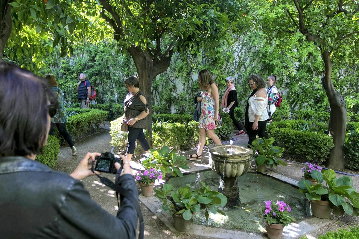 Fotogalería / Descubriendo los patios de la ruta Santa Marina-San Agustín