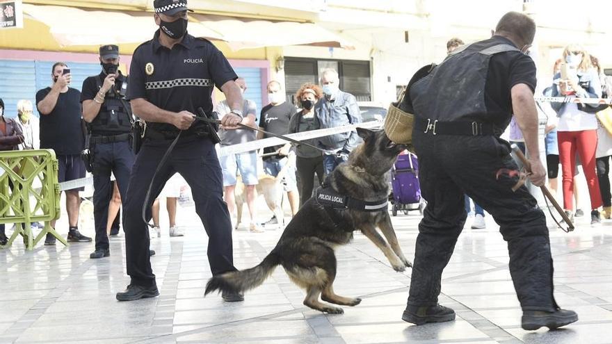 Imagen de la exhibición de la nueva Unidad Canina de la Policía Local de Torremolinos.