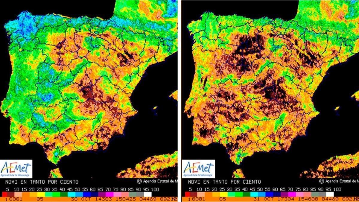 Índice de Vegetación de Diferencia Normalizada correspondiente al 31 de octubre del 2014 (izquierda) y a la misma fecha de este año. Los colores oscuros indican menor actividad fotosintética.