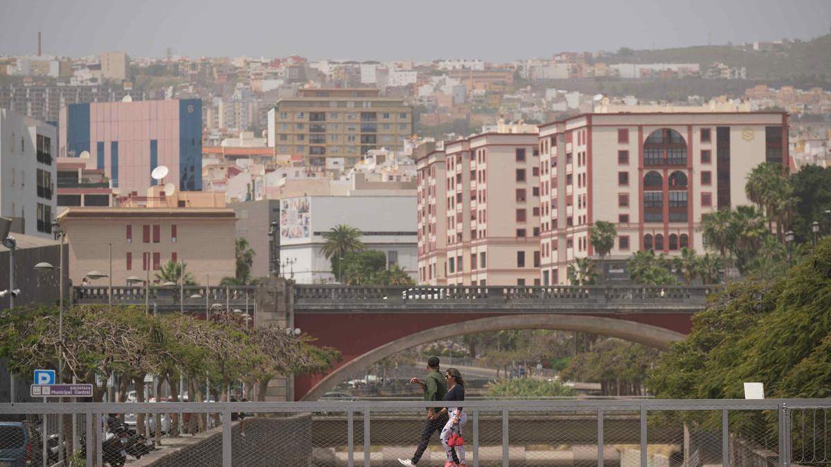 Jornada de calor en Tenerife.