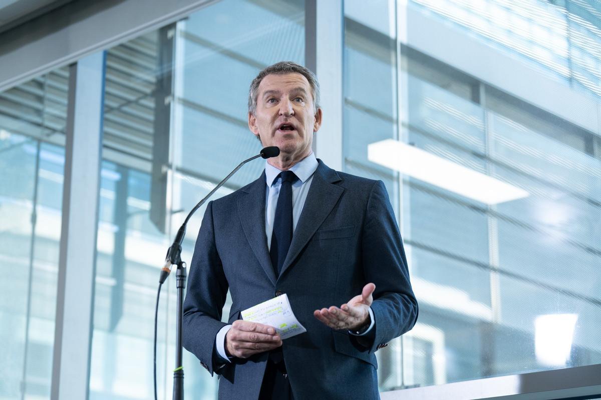 El líder del PP, Alberto Núñez Feijóo