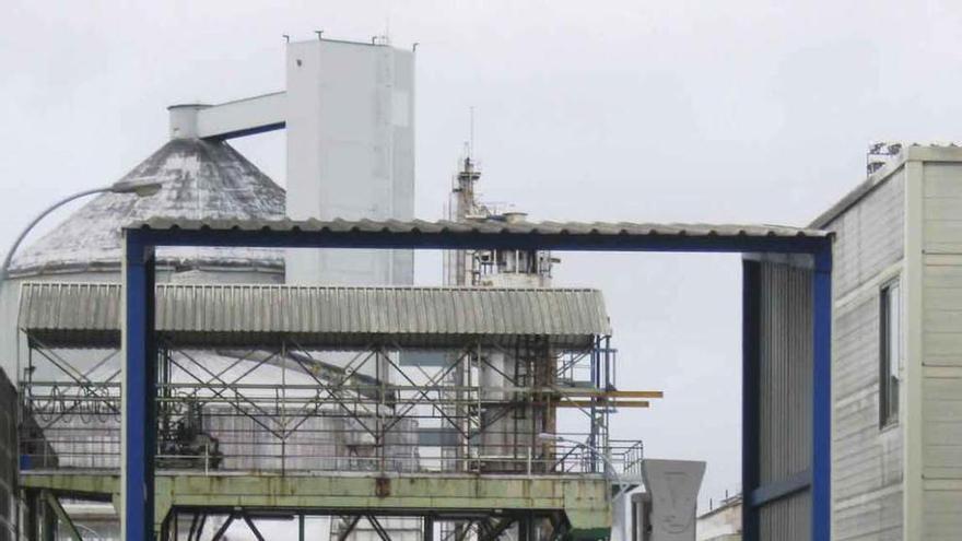 Remolacha preparada para molturar en la fábrica Azucarera. Foto