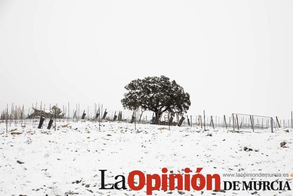 Nieve en el Noroeste