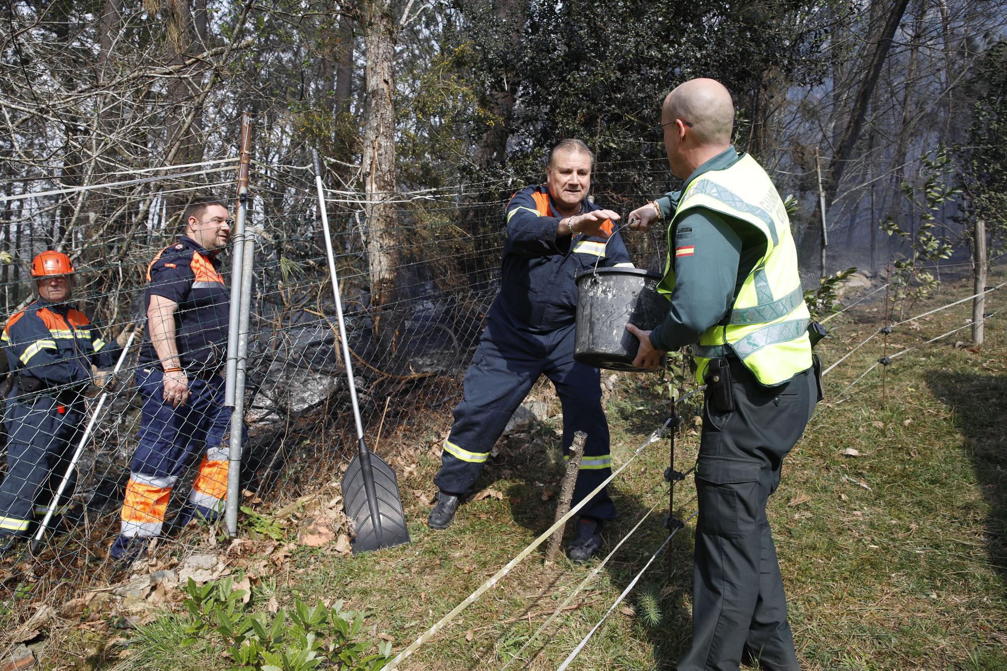 EN IMÁGENES: Gran oleada de incendios en Asturias