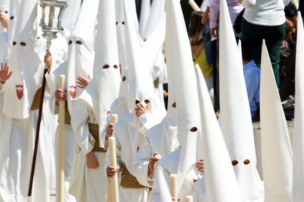 Domingo de Ramos | Humildad