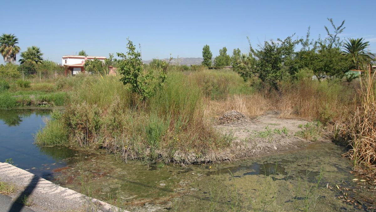 Partida Patos de la Marjaleria de Castelló.