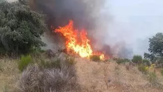 El incendio de Fermoselle, controlado