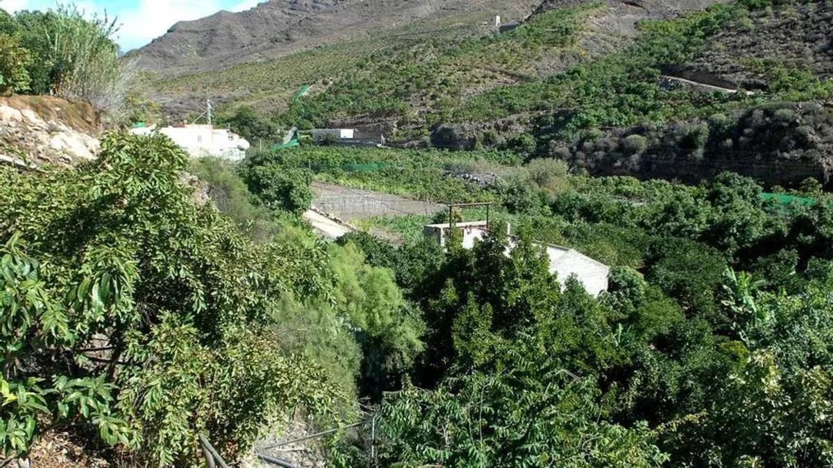 Fincas de cultivo y un pozo de agua en el valle de Mogán.