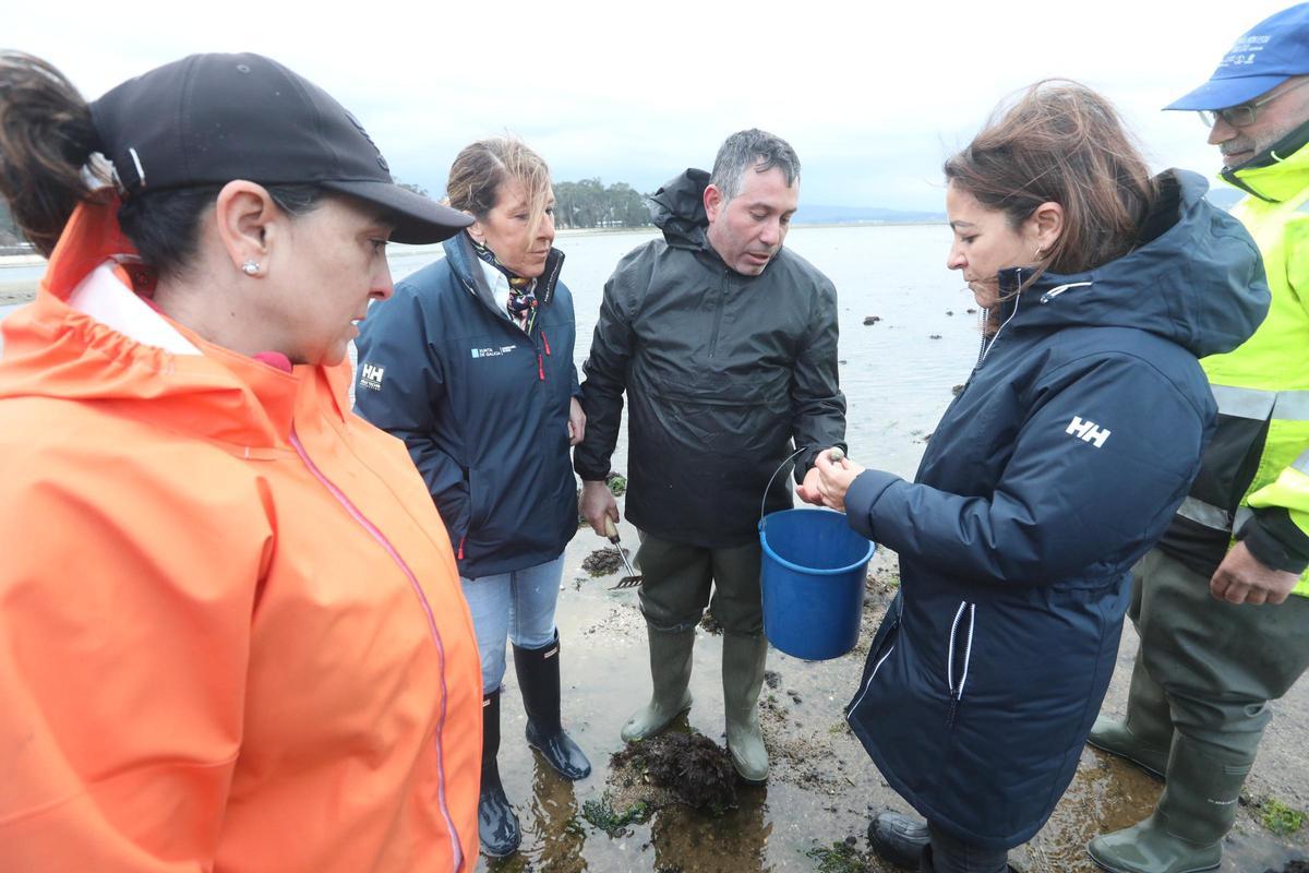 La conselleira do Mar, Marta Villaverde, asistió ayer a los trabajos de muestreo en O Grove