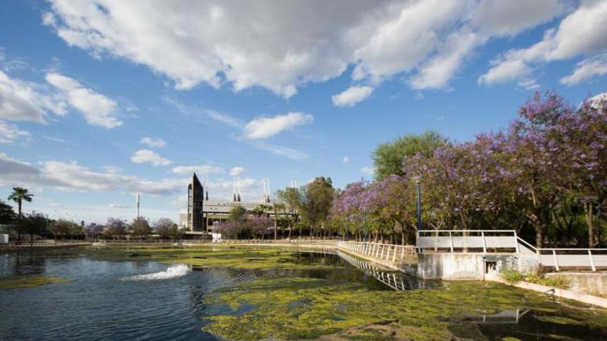 El Jardín Americano de Sevilla, en La Cartuja, en imágenes