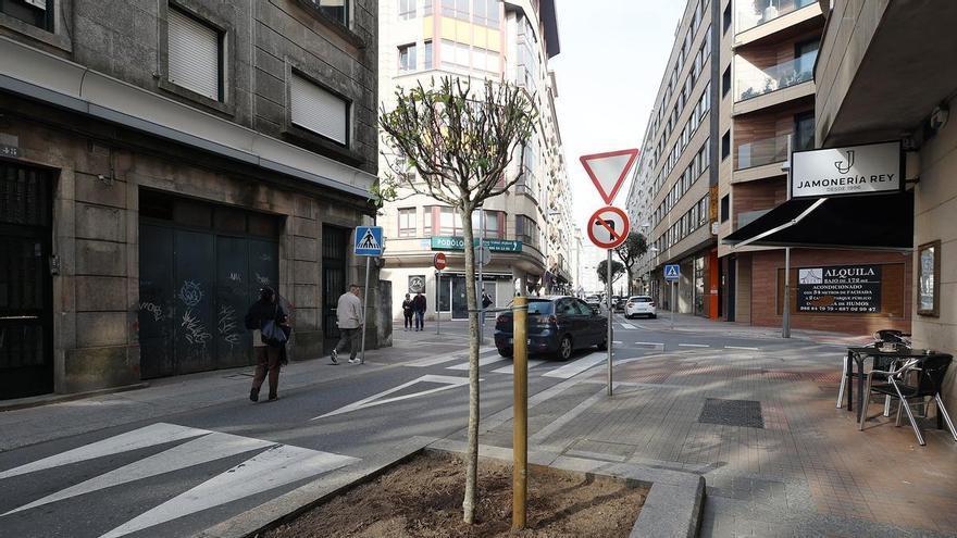 Pontevedra reordena su paisaje urbano: nuevas magnolias, reparación de alcorques y limpieza en Os Gafos